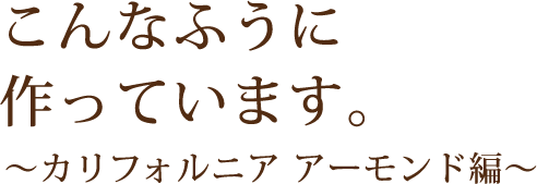 こんなふうにつくっています。〜カルフォルニア アーモンド編〜